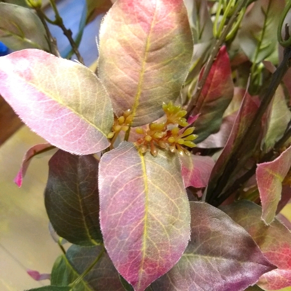 FLORALS - Picture 2 of 5